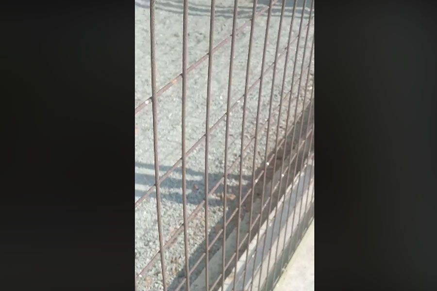 Βίντεο που ανήρτησε γνωστός ηθοποιός προκαλεί οργή (vid)