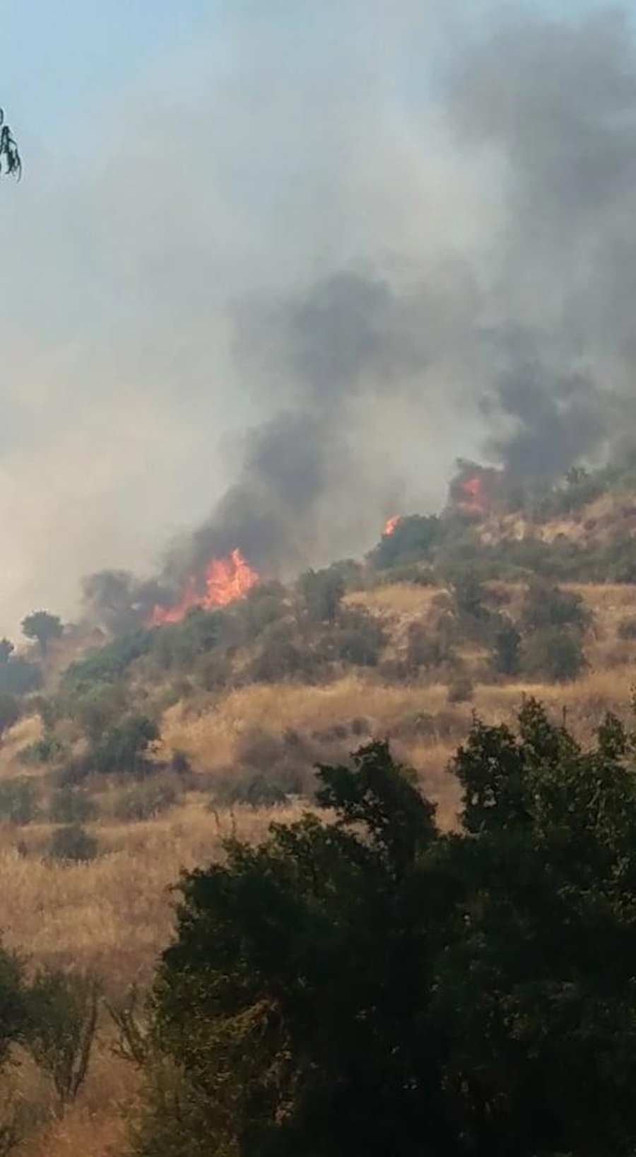 Φωτογραφία: Μαρία Κωνσταντίνου, Δημοσιογράφος, ΡΙΚ
