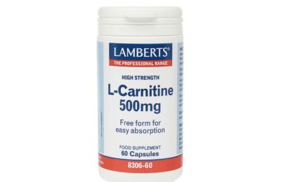 L -Carnitine 500mg