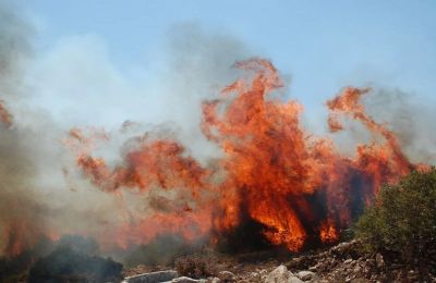 Η Αστυνομία ζητά την βοήθεια των πολιτών 