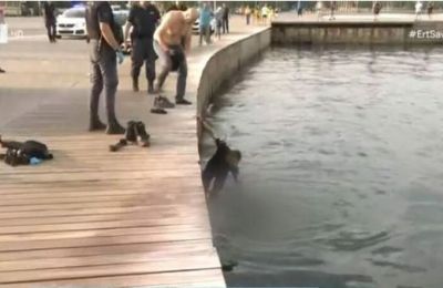 Φωτογραφία Αρχείου 