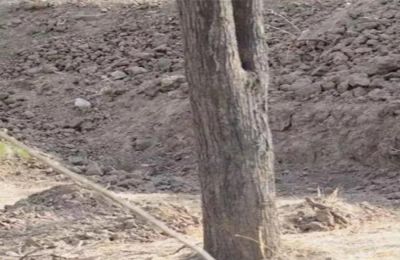 Ένα καλό τεστ για να τσεκάρεις την παρατηρητικότητα σου! 