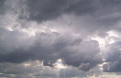 Εικόνες από Αστυνομία