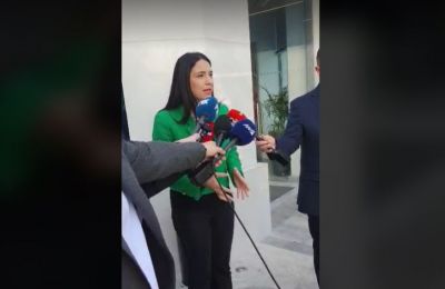 Σάβια Ορφανίδου: Διεκδικεί την αντιπροεδρία του ΔΗΣΥ (vid)