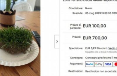 Πούλησε 700€ κομμάτι από τον χλοοτάπητα