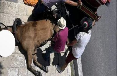 Ανησυχία στις βαλτικές χώρες και την Ευρώπη
