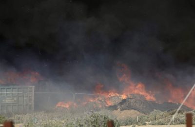 Φωτογραφία από ΜΚΔ