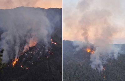 Φωτογραφία από Αστυνομία Κύπρου