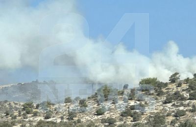 Σε πολλά σχόλια πολιτών διατυπώθηκε ένα γενικότερο αίσθημα ανασφάλειας ακόμα και για βόλτα στην εντός των τειχών πόλη ενώ επικρότησαν την ανάληψη δράσης