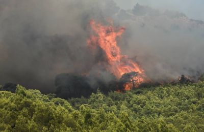 Πολίτες βρίσκονταν στο ετήσιο φεστιβάλ Lapu lapu που τιμά την κουλτούρα των Φιλιππινών όταν τους κτύπησε το αυτοκίνητο