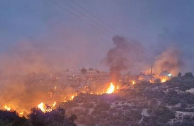 ΑΕΛ: Επικεφαλής του τμήματος σκάουτινγκ ο Γιάννης Θεοδώρου