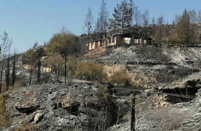 Αιμορραγικό σοκ η αιτία θανάτου της Ξένιας που ξεψύχησε στην άσφαλτο