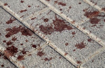 «Έλληνας του Ολυμπιακού είπε στον 4ο θα τον γ…ω τον τον π… τον Λαμέλα»