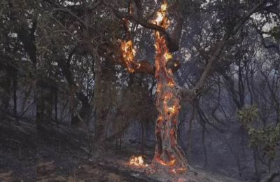 Η Μαρία Αντωνά αναφέρθηκε στη σχέση της με τον Γιώργο Λιάγκα!