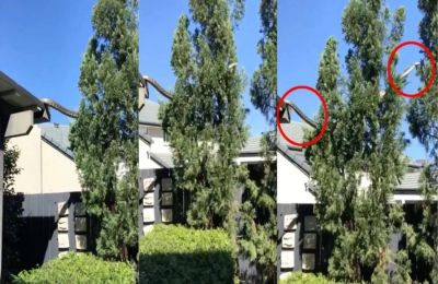 Ο καυγάς ξέσπασε κατά την αποβίβαση στο λιμάνι του Γκάλβεστον