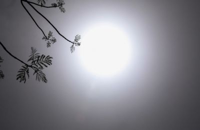 Εικόνα Αρχείου