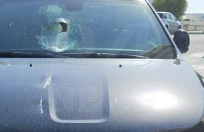 Αυξάνονται τα περιστατικά κατά τα οποία πεζοί και οδηγοί οχημάτων, σε πεζόδρομους και χωματόδρομους, βλέπουν μπροστά τους φίνες