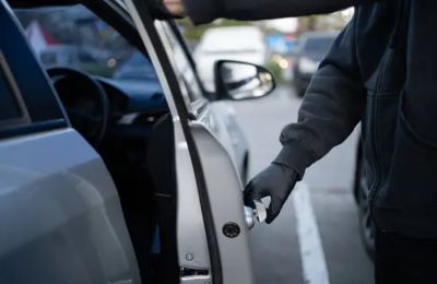 Αυξάνονται τα περιστατικά κατά τα οποία πεζοί και οδηγοί οχημάτων, σε πεζόδρομους και χωματόδρομους, βλέπουν μπροστά τους φίνες