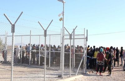 Αυξάνονται τα περιστατικά κατά τα οποία πεζοί και οδηγοί οχημάτων, σε πεζόδρομους και χωματόδρομους, βλέπουν μπροστά τους φίνες