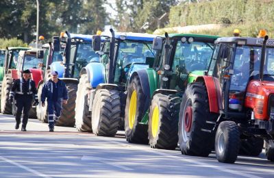 Σε πολλά σχόλια πολιτών διατυπώθηκε ένα γενικότερο αίσθημα ανασφάλειας ακόμα και για βόλτα στην εντός των τειχών πόλη ενώ επικρότησαν την ανάληψη δράσης