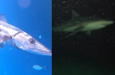 «Με το αγόρι μου ήμουν στο Ντουμπάι»