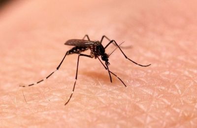 Η Ουάσιγκτον και το Πεκίνο ανταλλάσσουν χτυπήματα με δασμούς
