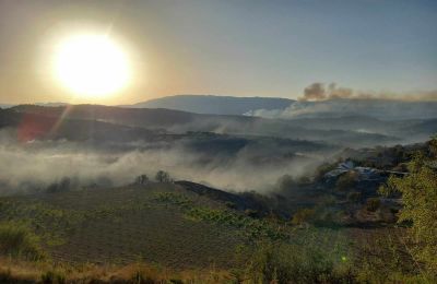 Φωτογραφία Αρχείου