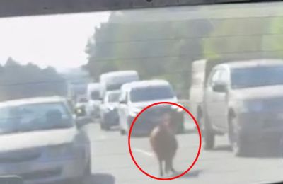 Δείτε το βίντεο