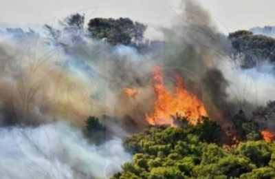 Πετράκης: «Θα μπορούσαμε να πάρουμε τη νίκη»