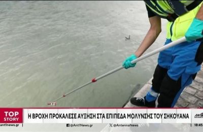Ολυμπιονίκης δουλεύει στο εστιατόριο των γονιών της λίγες μέρες μετά τους Ολυμπιακούς Αγώνες!