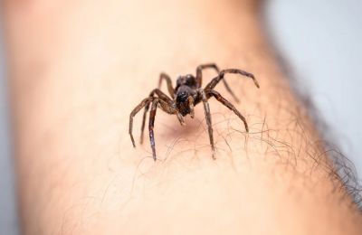 Η Ουάσιγκτον και το Πεκίνο ανταλλάσσουν χτυπήματα με δασμούς