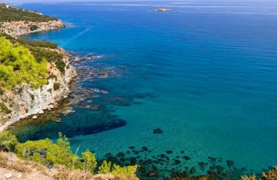 Αιμορραγικό σοκ η αιτία θανάτου της Ξένιας που ξεψύχησε στην άσφαλτο