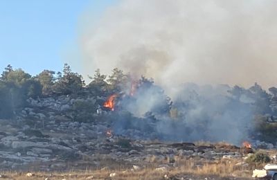 Πάμε Τρόοδος 2