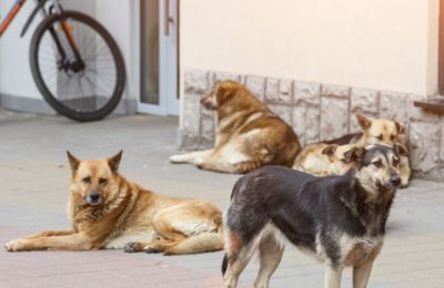 Ειδικός ανάγνωσης χειλιών αποκάλυψε τι είπε ο Τραμπ στον Μακρόν