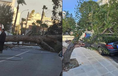 Πάμε Τρόοδος 2