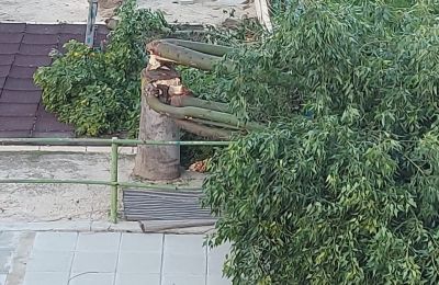 Φωτογραφία Αρχείου