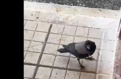 «Με το αγόρι μου ήμουν στο Ντουμπάι»