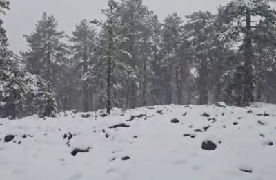 Πάμε Τρόοδος 2
