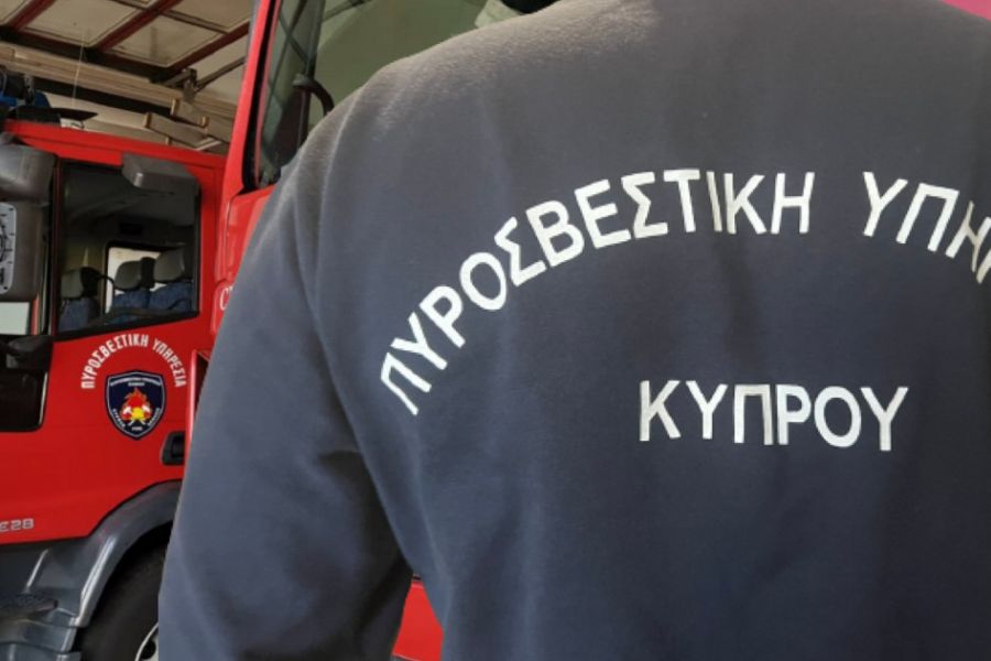 Υπό πλήρη έλεγχο η πρώτη δασική πυρκαγιά του 2025 στην Αγ. Μαρίνα