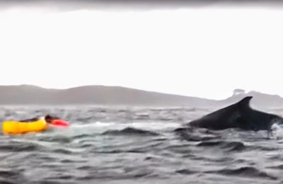 Ανησυχία στις βαλτικές χώρες και την Ευρώπη