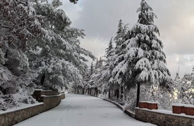 «Έπρεπε να μας τύχει για να μάθουμε;», διερωτήθηκε ο πατέρας της Στυλιανής Γιωργαλλή