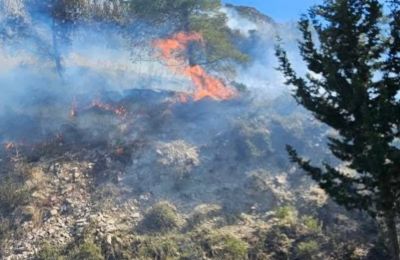 Αιμορραγικό σοκ η αιτία θανάτου της Ξένιας που ξεψύχησε στην άσφαλτο