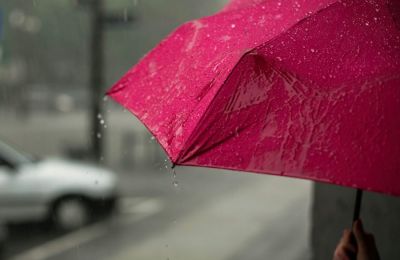 Αυξάνονται τα περιστατικά κατά τα οποία πεζοί και οδηγοί οχημάτων, σε πεζόδρομους και χωματόδρομους, βλέπουν μπροστά τους φίνες