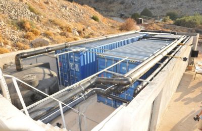 Αυξάνονται τα περιστατικά κατά τα οποία πεζοί και οδηγοί οχημάτων, σε πεζόδρομους και χωματόδρομους, βλέπουν μπροστά τους φίνες
