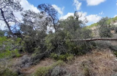 Πάμε Τρόοδος 2