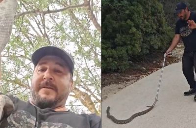 Φωτογραφία Αρχείου