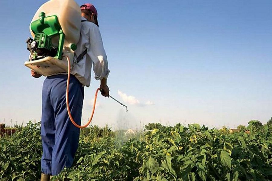 Κατάσχεση από Τμ.Τελωνείων μεγάλης ποσότητας φυτοφαρμάκων