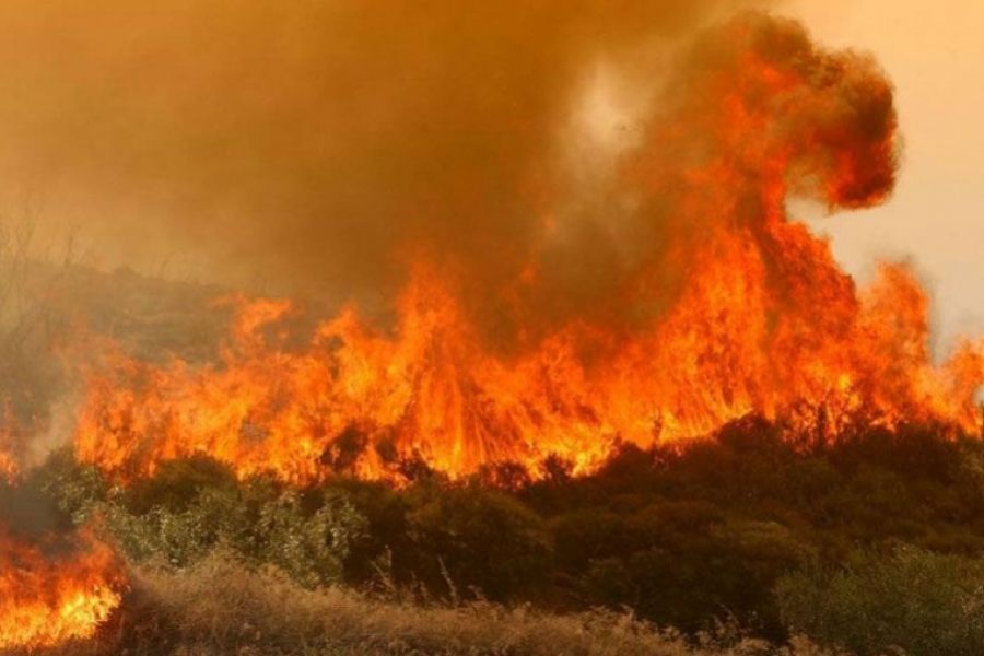 Στις 28 οι δασικές πυρκαγιές στην Κύπρο το 2024