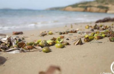 Τι προκάλεσε το σπάνιο φαινόμενο