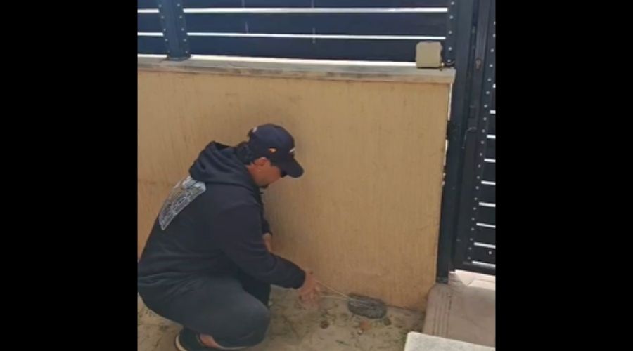 Ο γνωστός ερπετολόγος, Γιάννης Αγγελή, προειδοποίησε ενοίκους οικιών με πισίνα πως είναι σημαντικό να ελέγχουν συγκεκριμένα εξωτερικά σημεία της σε καθημερινή βάση